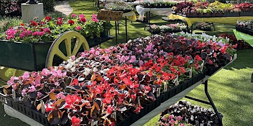 Immagine principale di The Annual Hill-Physick House Spring Plant Sale 