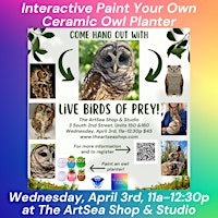 Immagine principale di Interactive Paint Your Own Ceramic Owl Planter! 
