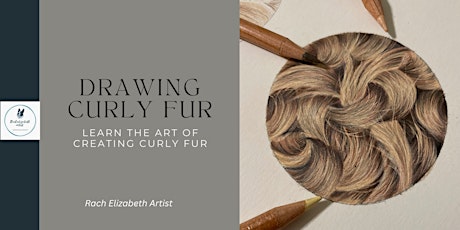 Coloured pencils for beginners- drawing curly fur