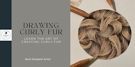 Coloured pencils for beginners- drawing curly fur primary image