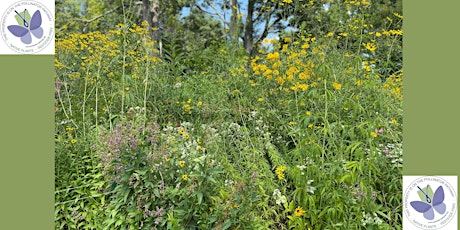 MAKE A POLLINATOR PARADISE IN YOUR YARD!