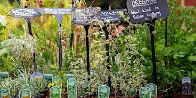 Thyme to Plant: Create Your Own Herb Garden Event primary image