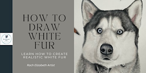 Imagen principal de Coloured pencils for beginners-drawing white fur