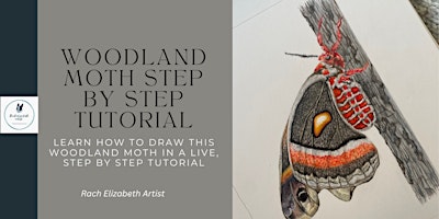 Primaire afbeelding van Coloured pencils for beginners- Woodland moth tutorial