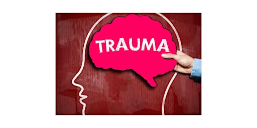 Primaire afbeelding van Understanding The Cause and Effects of Trauma