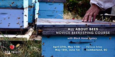 Hauptbild für All About Bees: Novice Beekeeping Course