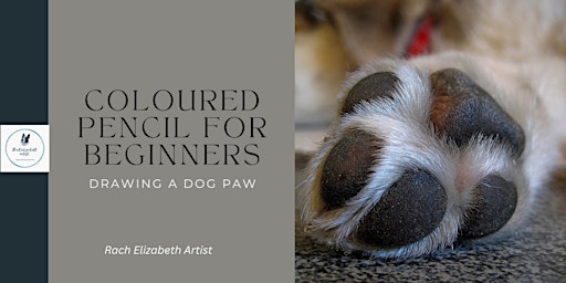 Primaire afbeelding van Coloured pencil for beginners- Drawing a dog paw