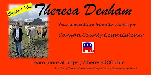 Primaire afbeelding van Online Fundraiser : Theresa Denham for Canyon County Commissioner