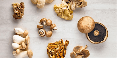 Hauptbild für Meatless Meals: Mastering Mushrooms