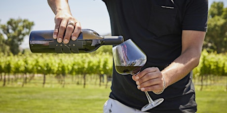 Mizel Estate Wines - Wine Tasting in the Vineyard
