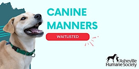 Canine Manners Course