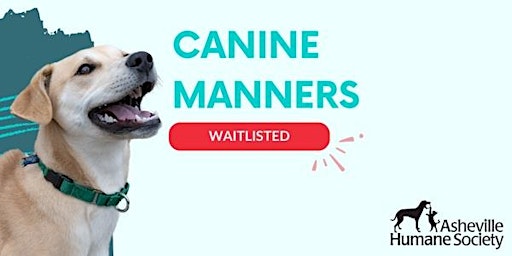 Imagem principal do evento Canine Manners Course