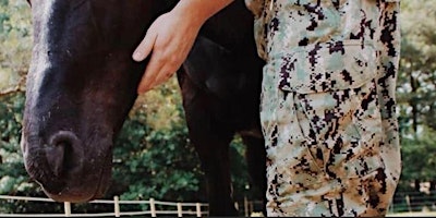 Immagine principale di Interwoven: 2 Part Equine Therapy for Couples and Family 