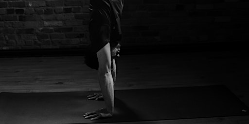 Handstands for beginners primary image