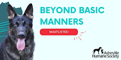 Imagem principal do evento Beyond Basic Manners