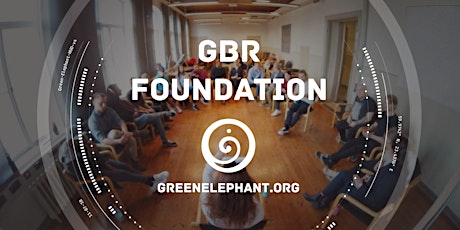 Foundation of GreenBlueRed™ - 4h online session in person + 1h online pre-learning  primary image