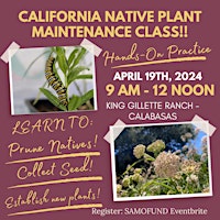 Imagem principal de Native Plant Garden Maintenance: Pruning, Seed Collecting, Watering & More