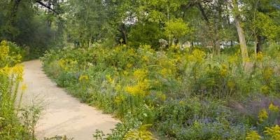 Imagem principal do evento Art in the AM: A Nature Walk at the Houston Arboretum