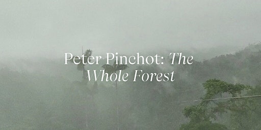 Primaire afbeelding van Peter Pinchot: The Whole Forest