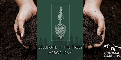 Primaire afbeelding van Celebrate in the Trees - Arbor Day