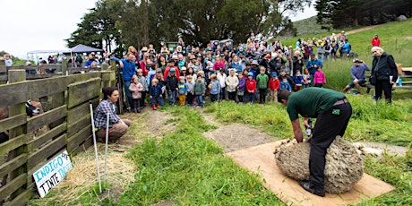 Imagen principal de Family Farm Day: Sheep to Shawl!