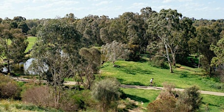 City Nature Challenge 2024 at Darebin Parklands