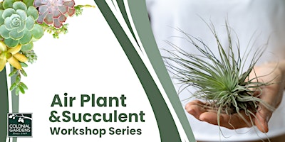 Imagem principal do evento Air Plant & Succulent Workshop