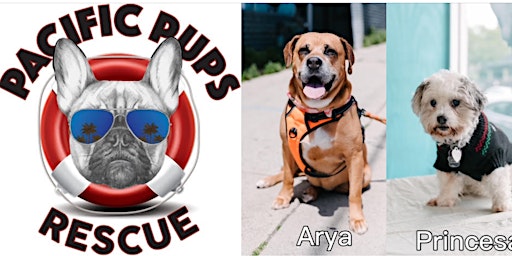 Imagem principal de Pacific Pups Yin Yoga Fundraiser!