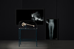 WORKSHOP // Bone Drift | Exploring bone china making and (dis)ability primary image