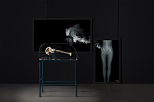 Primaire afbeelding van WORKSHOP // Bone Drift | Exploring bone china making and (dis)ability