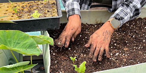 Hauptbild für Composting Workshop