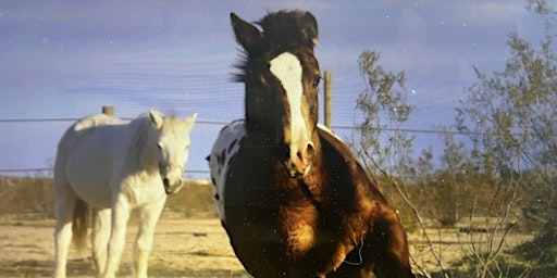 Imagem principal de Our Mindset's Retreat and Meetup at Joshua Tree