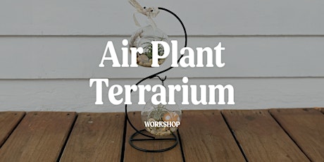 Air Plant Terrarium Workshop with Mads of All Trades primary image