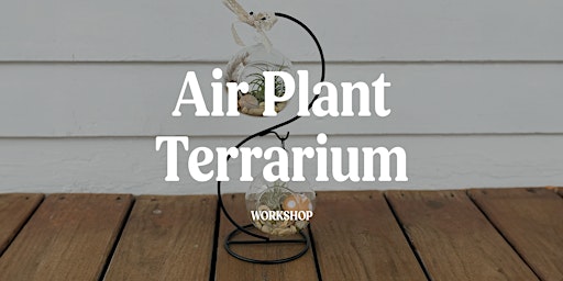 Imagem principal do evento Air Plant Terrarium Workshop with Mads of All Trades