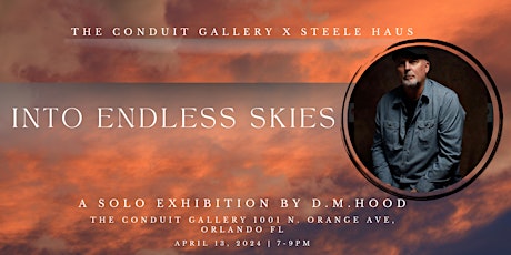 Into Endless Skies by D.M. Hood