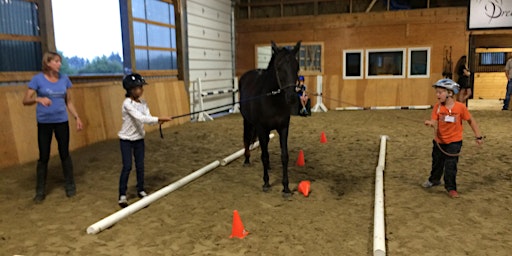 Teamwork - Equine Assisted Learning Session @Dreamwinds primary image