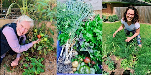 Primaire afbeelding van How to Grow a Thriving Veggie Garden