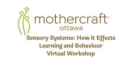 Mothercraft Ottawa: Sensory Systems: How it Effects Learning and Behaviour