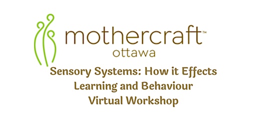 Imagen principal de Mothercraft Ottawa: Sensory Systems: How it Effects Learning and Behaviour