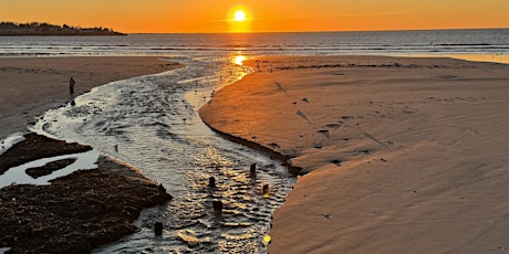 Our Own Beaches: An Evening Of Learning And Advocacy