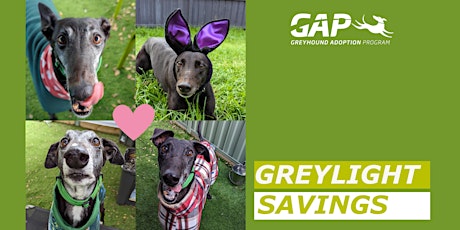 ‘Greylight Saving’ Adoption Day primary image