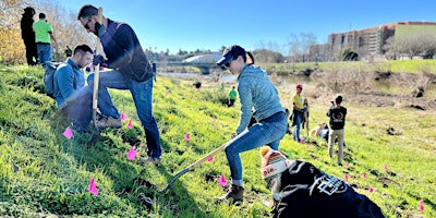 Primaire afbeelding van Bridging the Gap - Habitat Restoration and Trash Clean Up