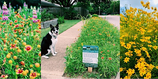 Image principale de Planting a Native North Texas Garden