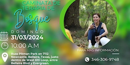 Imagen principal de TERAPIA DE BOSQUE EN HOUSTON