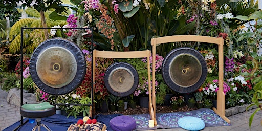 W.W. Seymour Conservatory Solar Eclipse Soundbath and Sacred Cacao Ceremony primary image