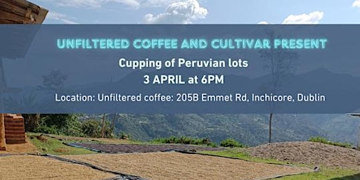 Fresh Crop Peru - Cultivar Coffees  primärbild