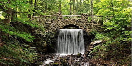 Ecospiritual Forest Bathing at Crystal Spring Trail