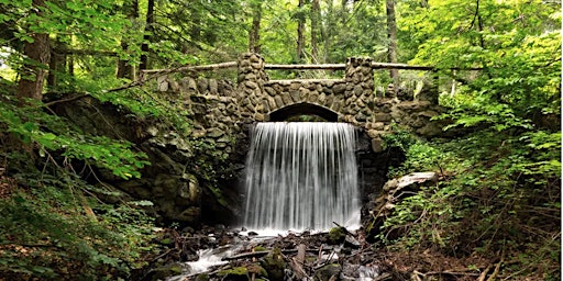 Imagem principal do evento Ecospiritual Forest Bathing at Crystal Spring Trail