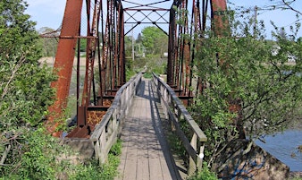 Imagen principal de Bike Tour: Shoreline Greenway