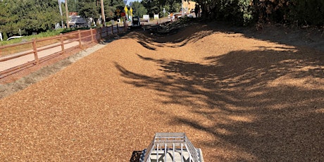 Cross Kirkland Corridor Volunteer Raingarden  Planting primary image